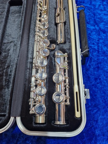 Concert Flute Di Zhao DZ100 - Picture 2 of 4
