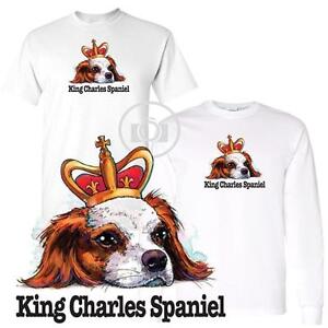 Cavalier King Charles Spaniel Size Chart