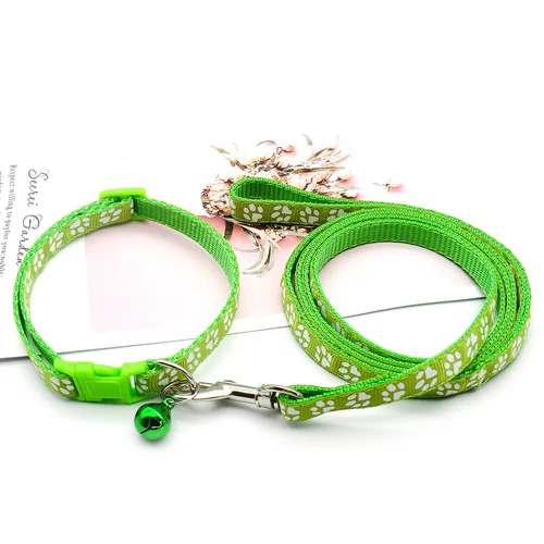 Kleines Hundehalsband und Leine Set verstellbar Welpenleine und Halsband Set Nylonriemen - Bild 8 von 36