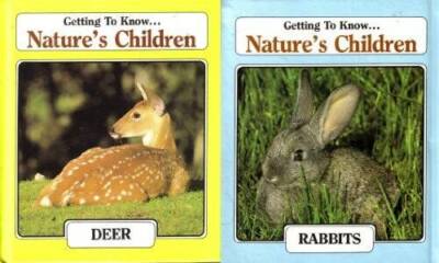 Deer Getting to Know Natures Children - Paperback By Dingwall, Laima - VERY GOOD