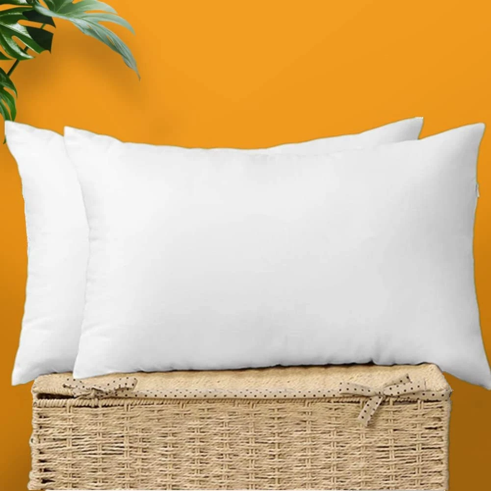 Decorative Pillow Insert