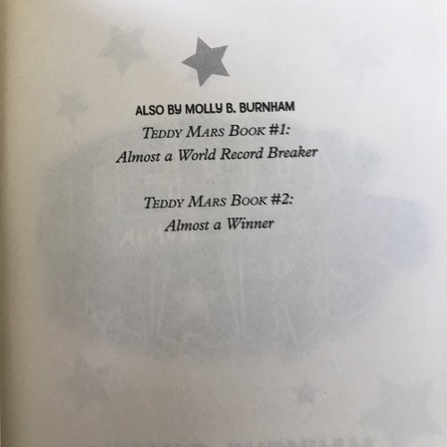 Teddy Mars Book #3: Almost an Outlaw - Picture 5 of 10