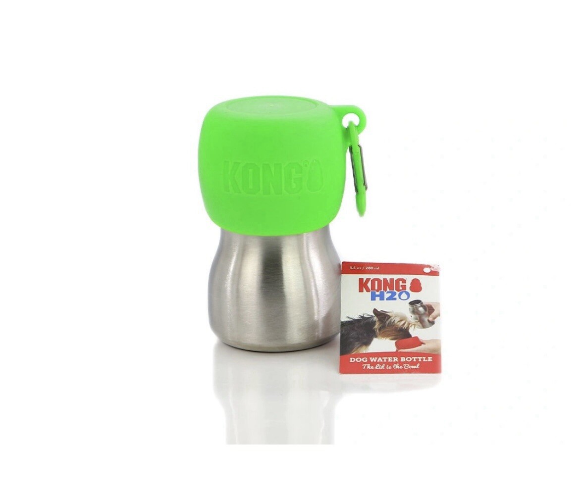 Kong H20 Puppy Dog Water Stainless Steel Bottle 280ml Green