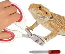 Professional Stainless Steel Bearded Dragon Nail Clippers and File - Pet