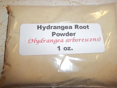 1 oz. Hydrangea Root Powder (Hydrangea arborescens)