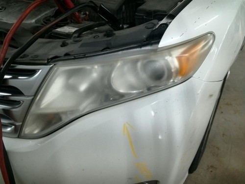 Driver Left Headlight Halogen Fits 09-16 VENZA 104855916