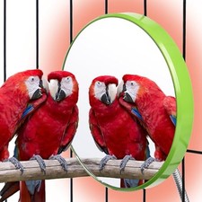 Bird Heater for Cage Thermostatical Bird Warmer Heater Pad with Mirror for