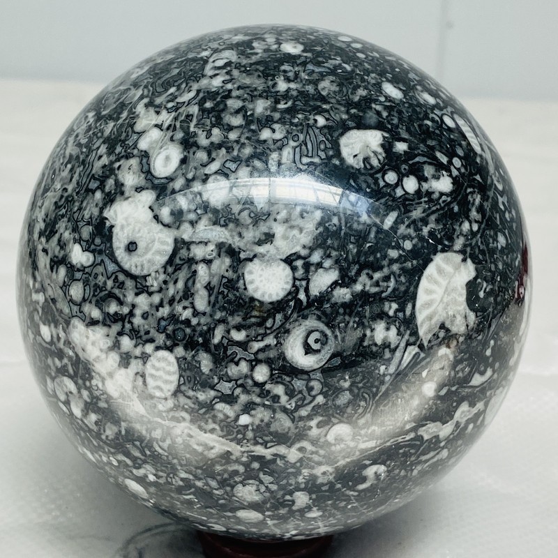 Natural Insectconch fossil crystal Ball Quartz Crystal Sphere Reiki Healing2200G