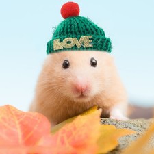 3 Pcs Mini Christmas Hats Adjustable Hand Knitted Small Animal Hats for Hamster