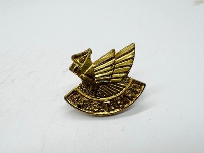 VINTAGE M.F.S.T. VOGEL MESSING ABZEICHEN GEFLÜGELTER VOGEL EMBLEM LUFTFAHRT STIL
