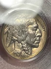 🦬 1921 (P) PCGS MS-64 Toned Buffalo Nickel: Nice Color