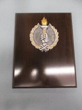 torch resin relief award 7 x 9 cherry finish plaque trophy