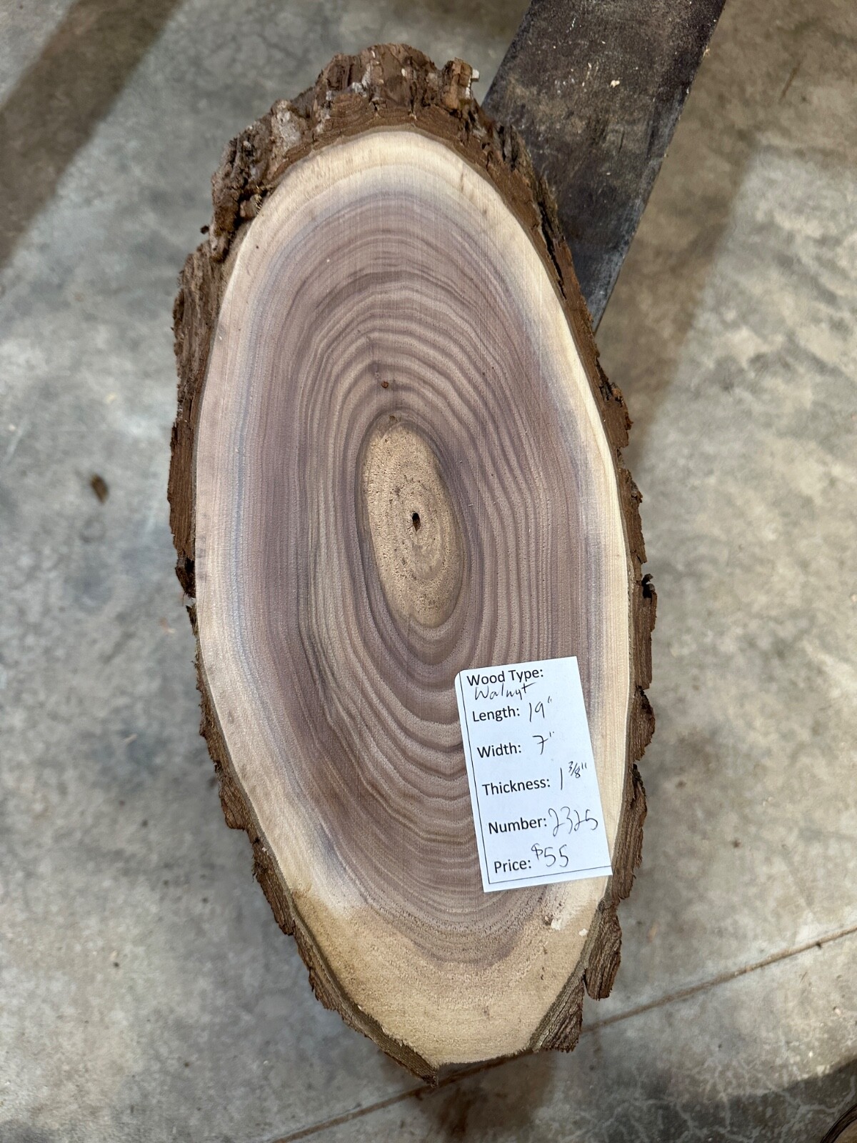 Black Walnut Live Edge Cookie Slab #2325 Unfinished with Free Shipping