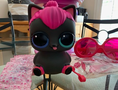 spicy kitty biggie pet