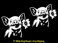 Cute Pig with a Hibiscus Flower 5" White Vinyl Decal Car Window Tablet Laptop