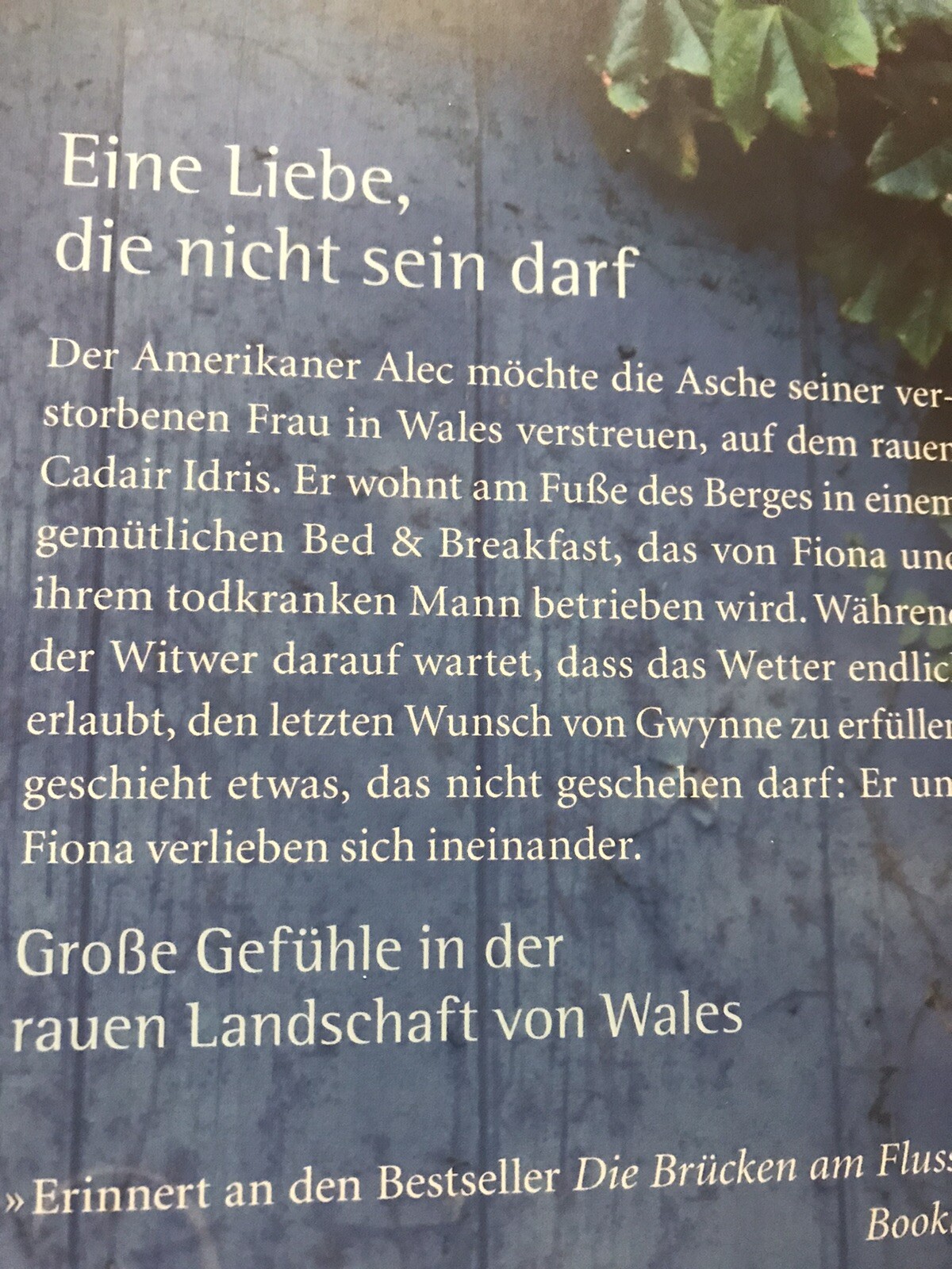 Bild 2 von 4