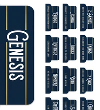 Manly Gold™ Bible Tabs for Men – Soul Nourishing Book Summaries – 66 Peel-and...