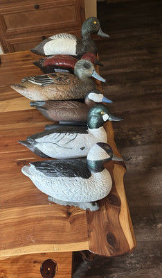 6-Pack Floating Duck Hunting Decoys Set Includes Duck Decoys, Multicolor Plastic