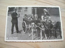 CPA ATTELAGE 4 CHIENS LAITIERE FLAMANDE GROS PLAN PERSONNAGES  (OH)
