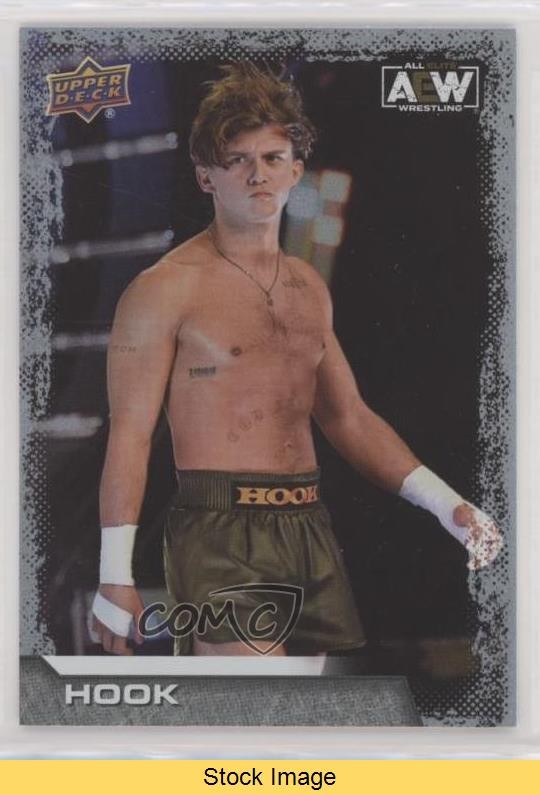 2022 Upper Deck AEW All Elite Wrestling Silver Foil Hook #80 Rookie RC READ gy2