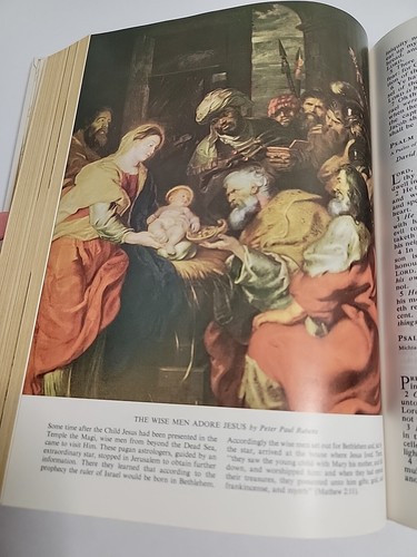 BIG WHITE 1965 KING JAMES FAMILY REGISTRY BIBLE RED LETTER COLOR ILLUSTRATIONS - Foto 7 di 11