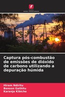 Hiram Ndiritu (U. A.) | Captura PóS-CombustãO De EmissõEs De DióXido De...