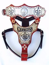 Bully Pitbull Amstaff collare in pelle guinzaglio imbracatura S-XL 100% fatto a mano