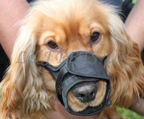 Nuevo nailon ajustable mascota boquilla set para perro stop masticar ladridos mordedura - Imagen 2 de 11