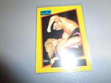 WCW WORLD CHAMPIONSHIP WRESTLING 1991 TRADING CARD # 5 STING