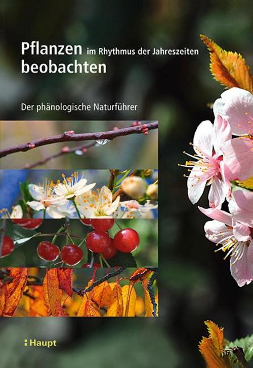 Thumbnail - Pflanzen Rhythmus Der Jahreszeiten Beobachten Vincent Badeau
