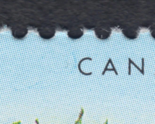 Canadá - #1353iv bayas comestibles - frambuesa negra, "variedad de hilo azul" - MNH Foto 2 de 2