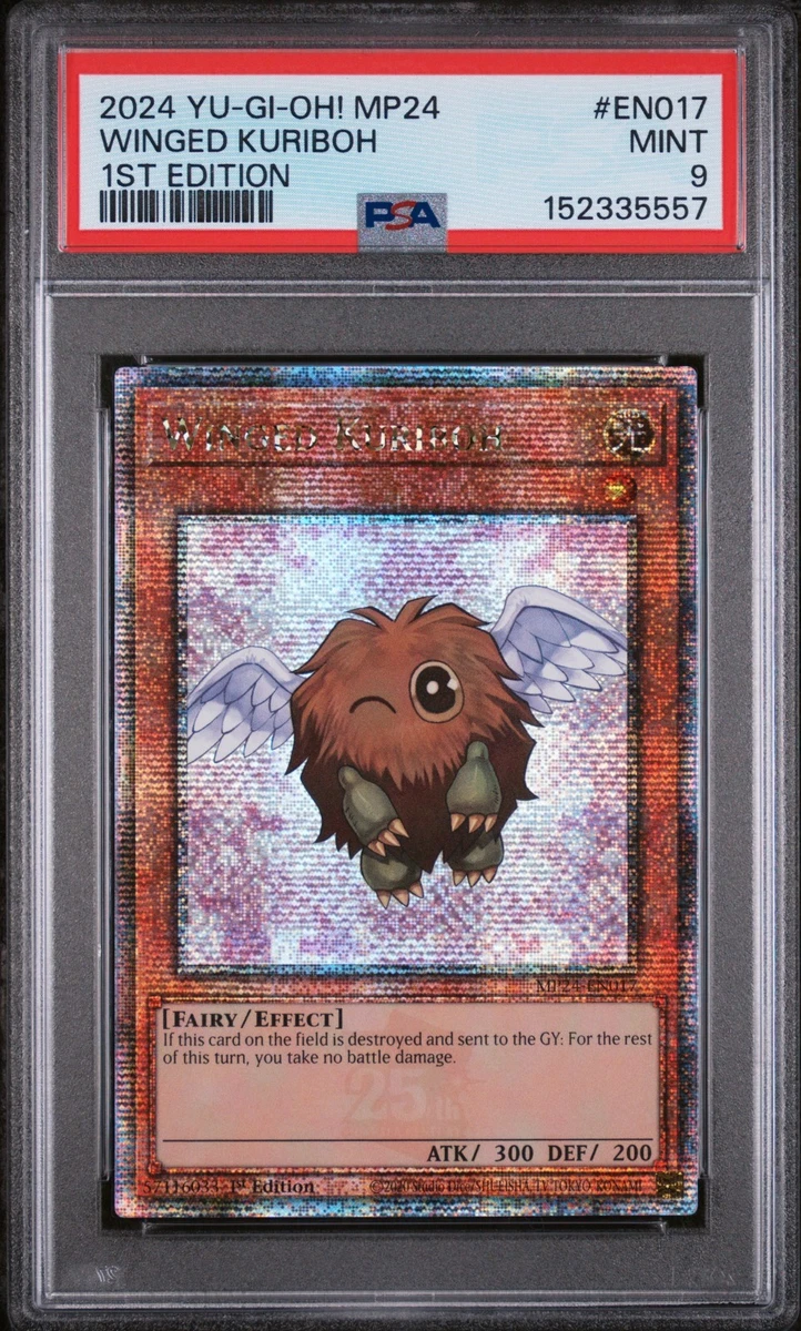 Winged Kuriboh Yu-Gi-Oh! TCG Professional Sports Authenticator