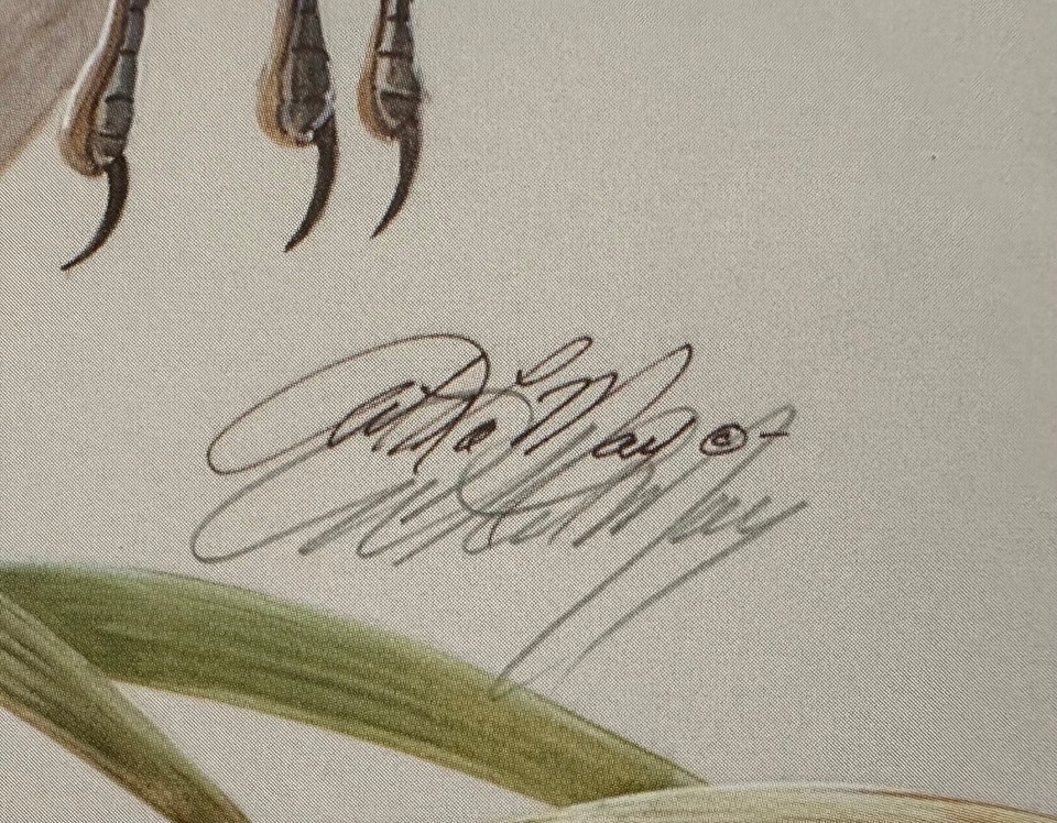 art-print-bay-blue-bay-white-by-art-lamay-ebay