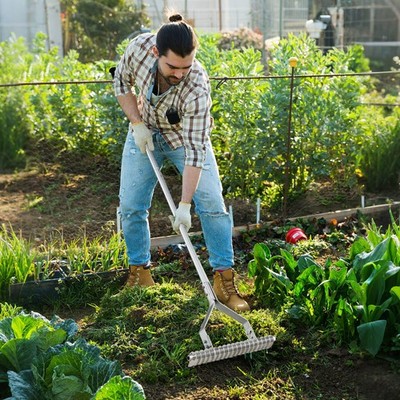 70'' Garden Thatch Rake w/ Long Handle & 19 Curved Tines