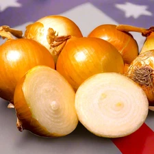 Texas 1015Y SuperSweet Onion Seeds - For 2025 Planting Official Texas State