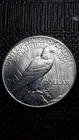 1925  Peace Silver Dollar    SM-70H    (I don't collect them--Good Luck)