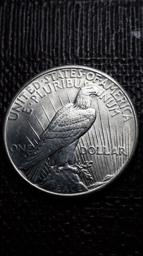 1925  Peace Silver Dollar    SM-70H    (I don't collect them--Good Luck)