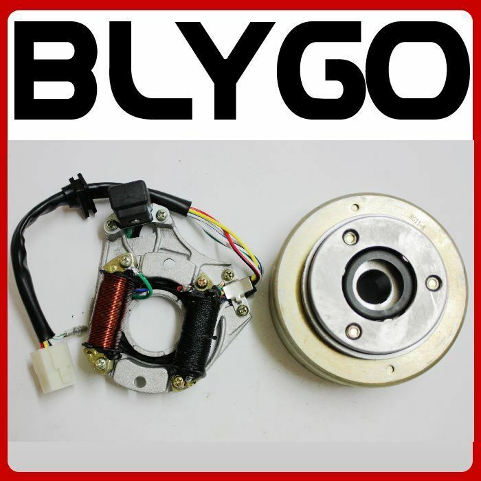 Magneto Volant Rouleau Pour Pit Pro Quad Dirt Bike ATV Buggy In Martinique At - Foto 7