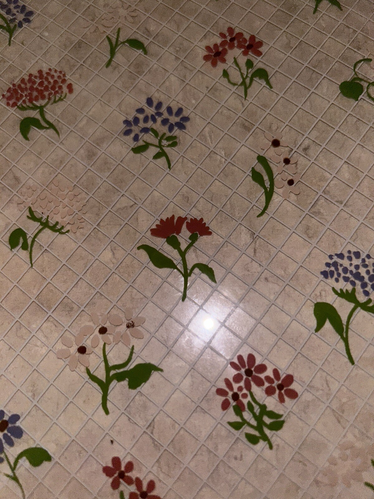Picture 4 of 5