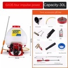 Knapsack Sprayer Pesticide Machine High Pressure Agricultural Spraying Machine
