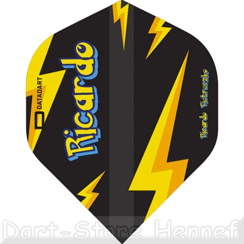 6 Dart Flights Datadart "RICARDO PIETRECZKO" Pikachu, schwarz - 第 1/1 張圖片