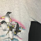 Picture 5 of 24