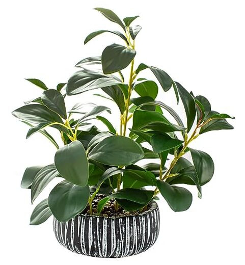 Artificial Potted Succulent Plant 13 Inch Fake Greenery Decor Indoor-image