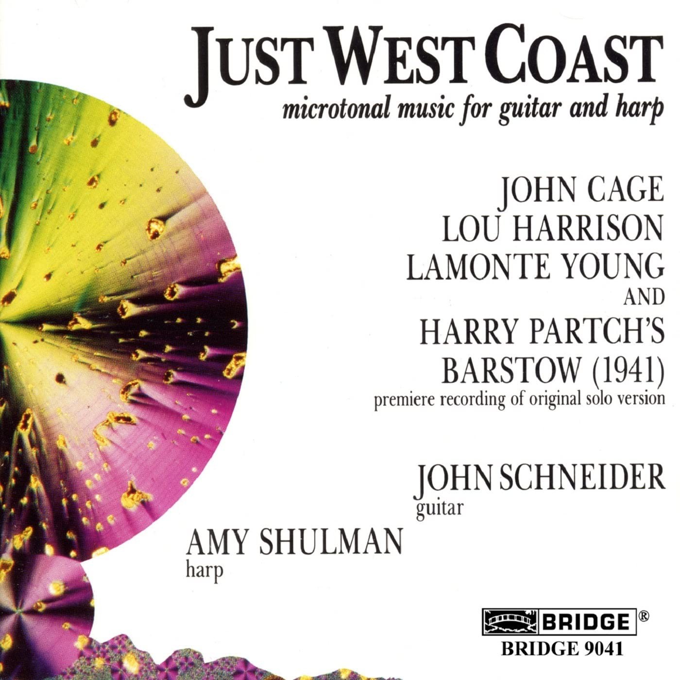 Just Strings Microtonal Music for Guitar and Harp (Schneider, Shulman) (CD)