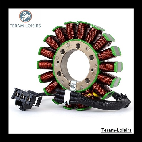Stator Allumage pour Triumph OEM:T1300118 - Photo 10/11