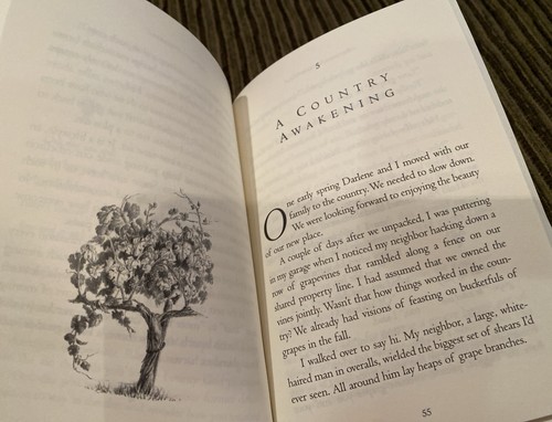 4 HC Christian Books of Encouragement by Jeffress, Alcorn & Wilkinson Great Gift - Picture 18 of 18