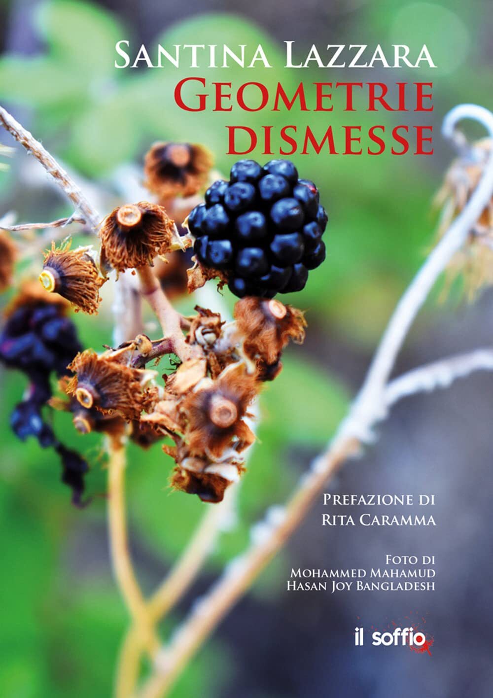 9788898759354 Geometrie dismesse - Santina Lazzara