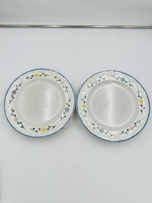 The Cellar Odette Floral Dinner Plates 10.5'' Blue Pink Yellow Flowers Set of 2