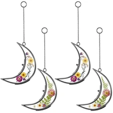 4 Pcs Glass Pressed Flower Frames Double Glass Moon Shaped Picture Frames Flo...
