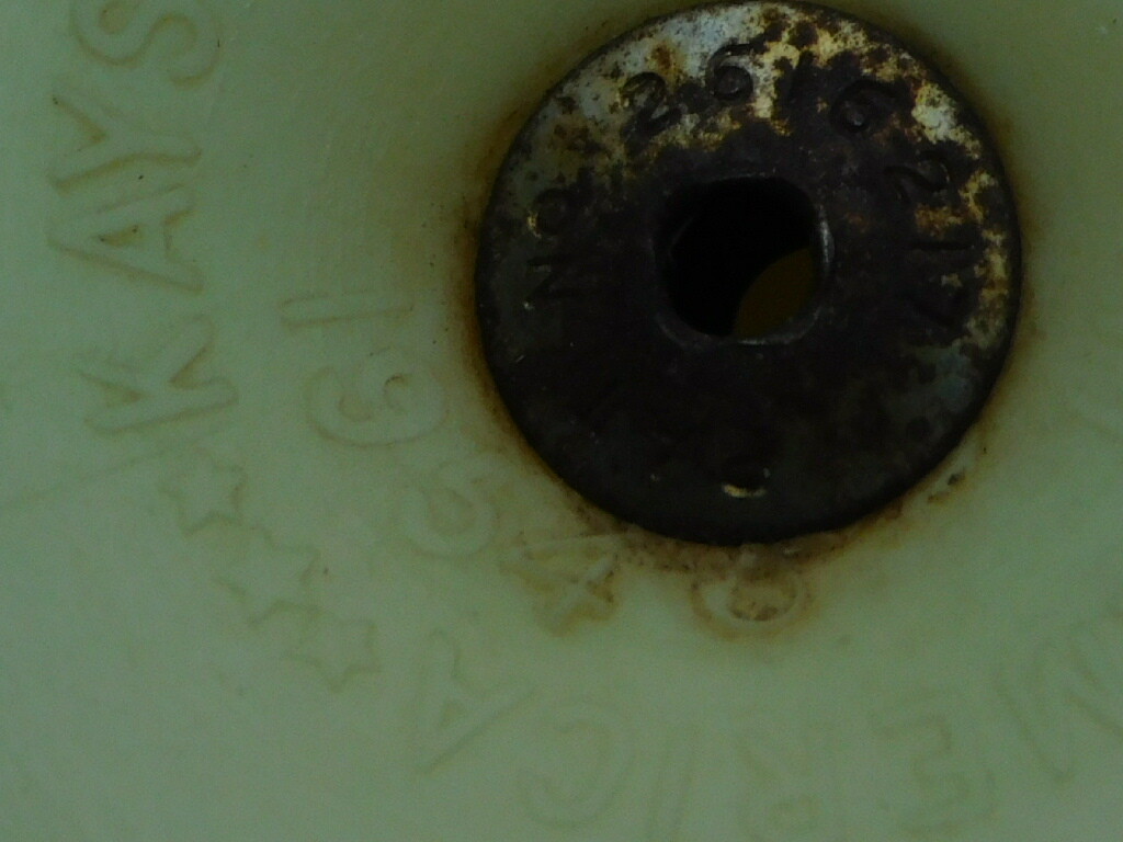 Picture 12 of 12